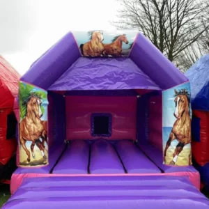 Horse Pony Themed Bouncy Castle